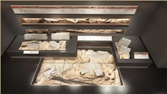 珠溪古镇展柜制作-中强展柜定制