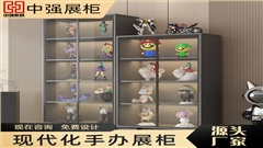 南京中强手办展柜定制